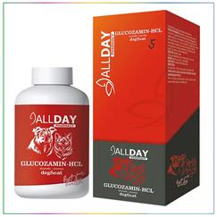 AllDay 5 Kedi ve Köpekler İçin Glucozamin-HCL Liquid 100 Ml