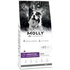 Molly Medium Adult Kuzu Etli & Yaban Mersinli Orta ve Büyük Irk Yetişkin Köpek Maması 2 Kg