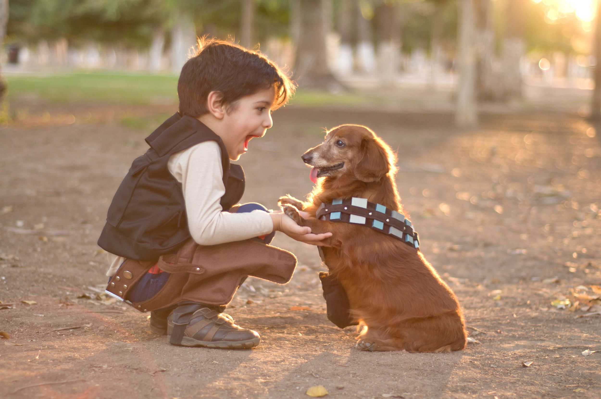 Любовь к животным. Собака друг человека. Мальчик с собакой. Собака для детей. Щенок мальчик.